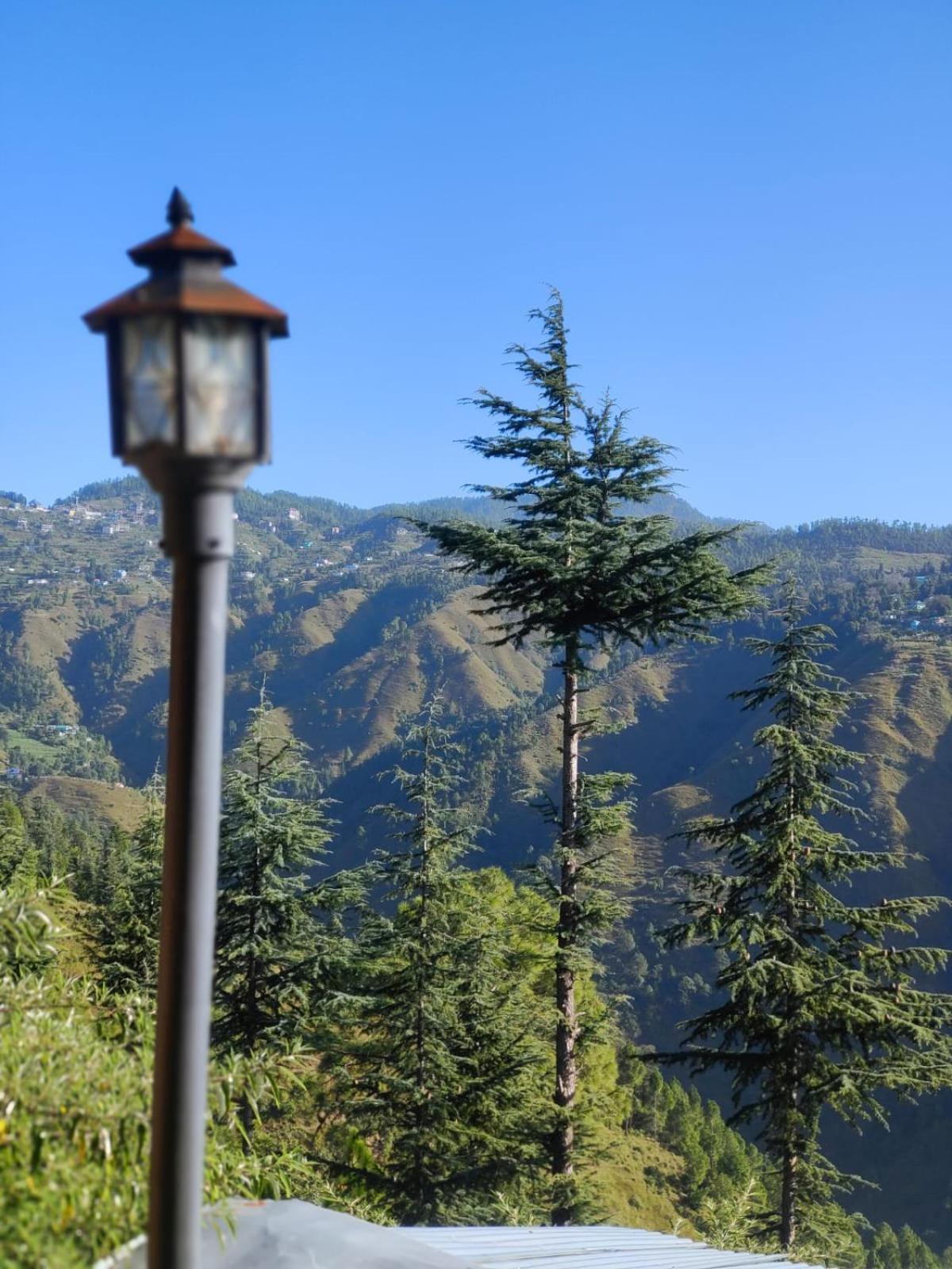 Little Heart Resort Chail Exterior foto