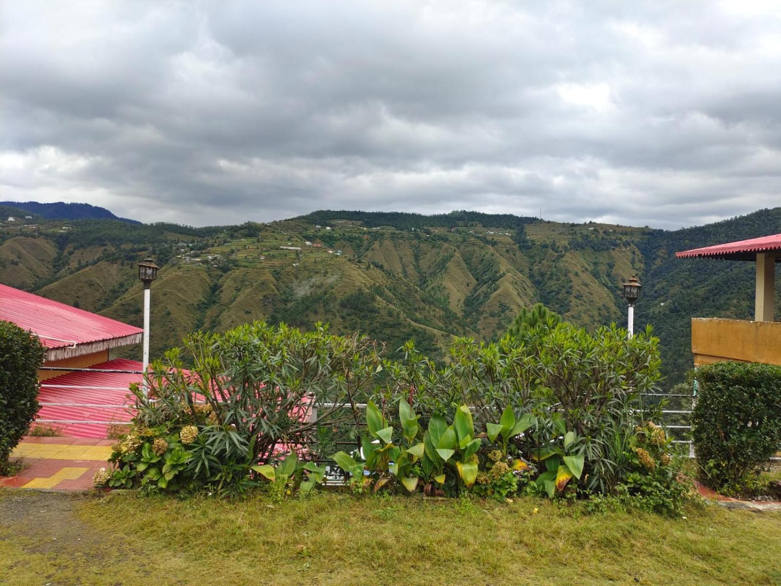Little Heart Resort Chail Exterior foto