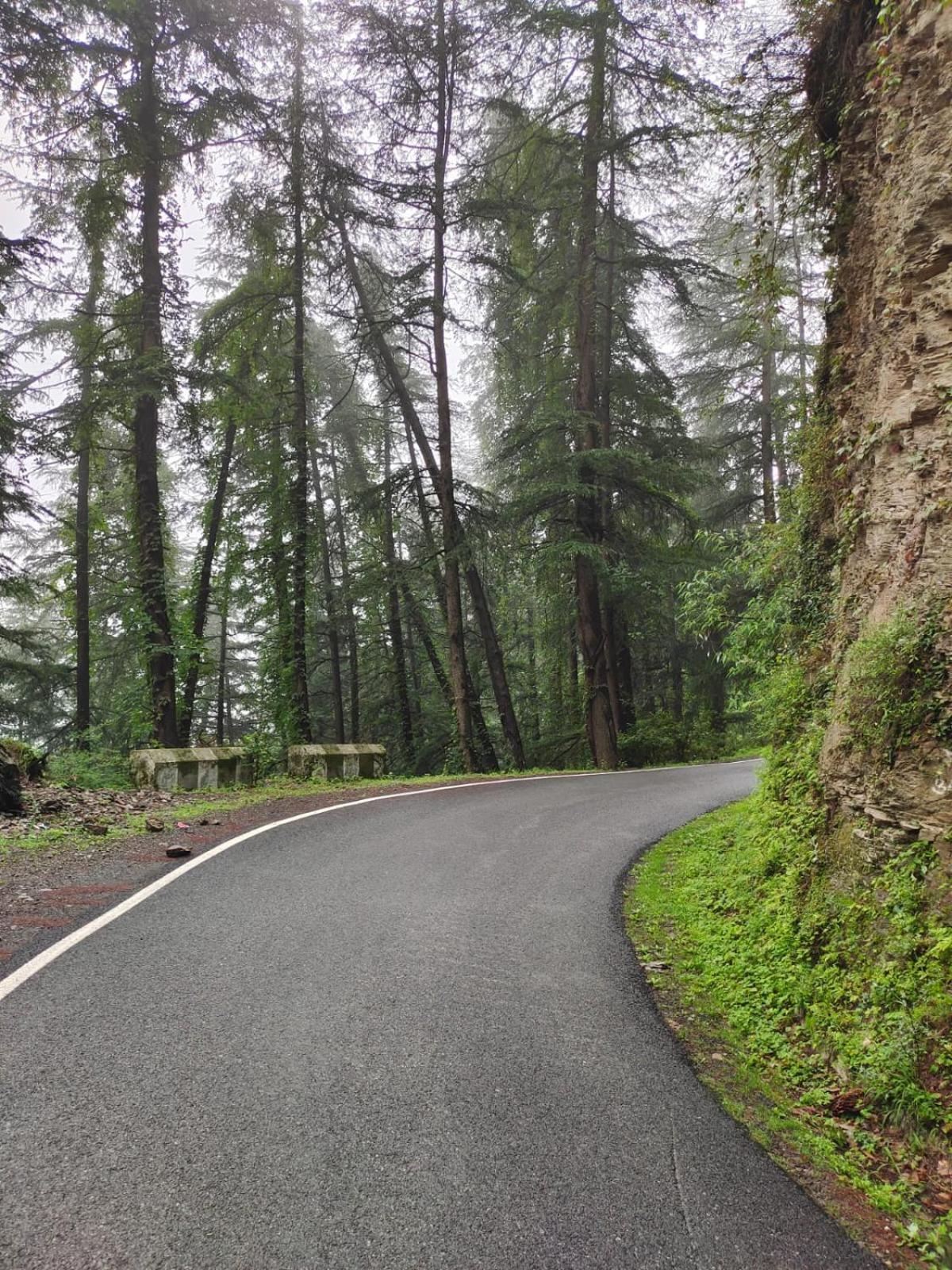 Little Heart Resort Chail Exterior foto